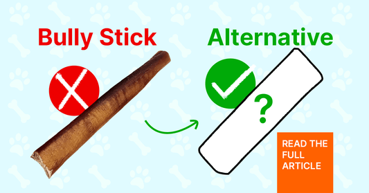 10 Best Bully Stick Alternatives for Your Dog