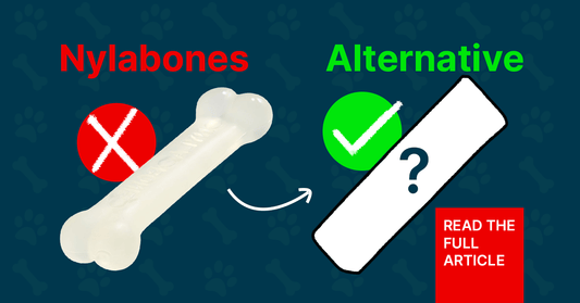 Are nylabones safe for dogs? 5 Healthier Alternatives You Must Know