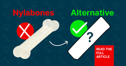 Nylabone Alternatives