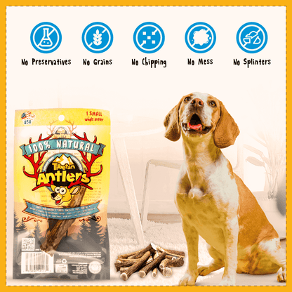 Medium Dog Starter Pack - 2 Natural Elk Antler Chews