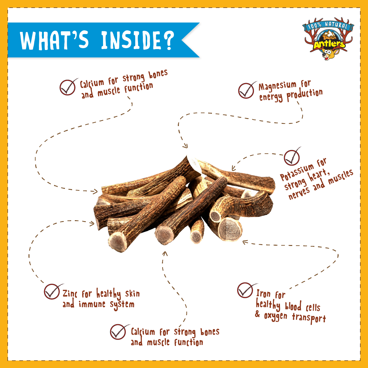 What is inside inside antler?