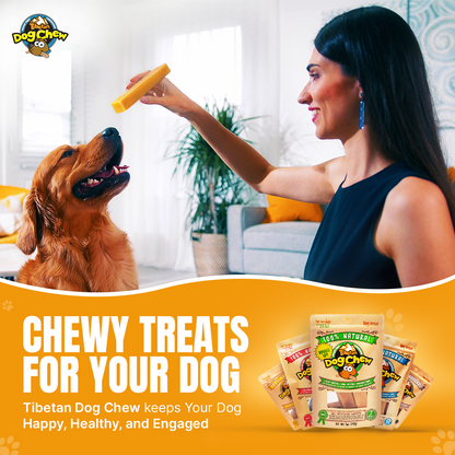 Chewy Treats for your dog