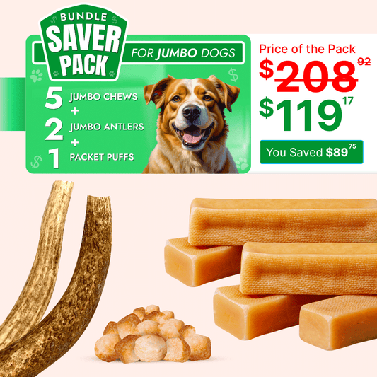 X-Large Dog Super Saver Bundle: 6 Yak Cheese Chews+ 2 Antlers +1 Cheese Puff