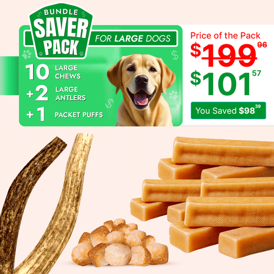 Large Dog Super Saver Bundle: 10 Yak Cheese Chews+ 2 Antlers +1 Cheese Puff