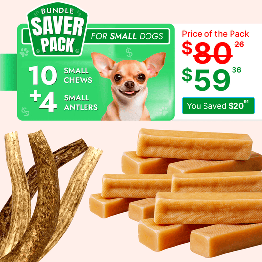 Small Dog Saver Pack - 10 pc Yak chew+ 4 pc elk antler - Safe and Healthy Small Size Dog Chew