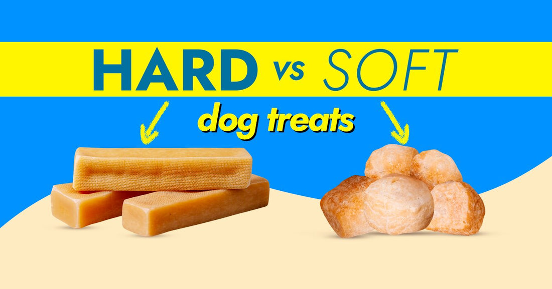 Hard Treats vs. Soft Treats for Dogs: Choosing the Perfect Chew