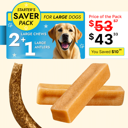 Large Dog Starter Pack - 2 Yak Chews + 1 Elk Antler