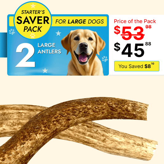 Large Dog Starter Pack - 2 Long Lasting Elk Antler Chew