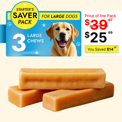 Large Dog Starter Pack - 3 Sticks Long Lasting Yak Cheese Chew