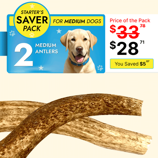 Medium Dog Starter Pack - 2 Natural Elk Antler Chews