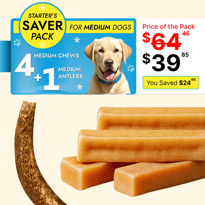 Medium Dog Starter Pack - 4 Yak Chews + 1 Elk Antler