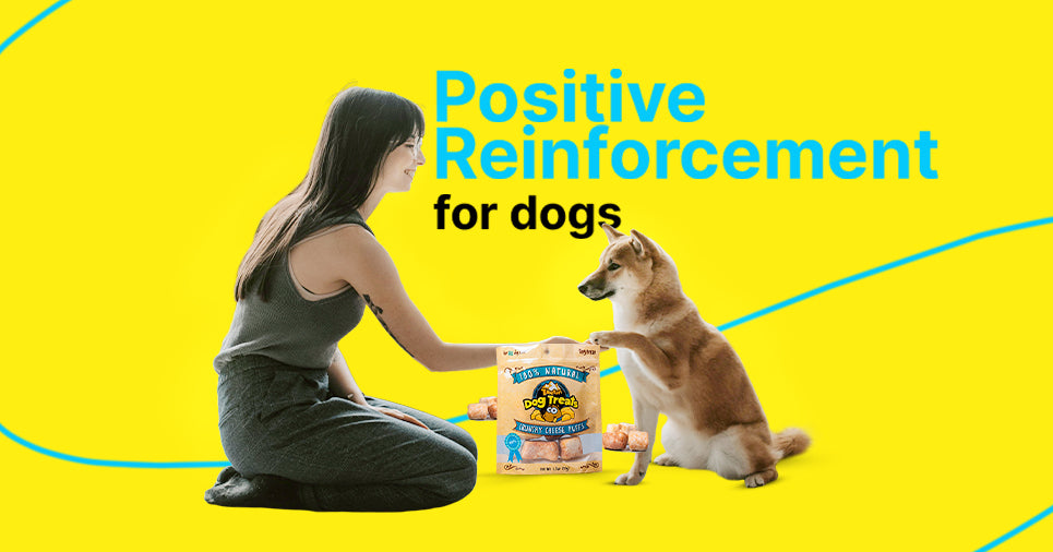 Positive Reinforcement for Dogs: Training with treats and praise