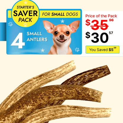 Small Dog Starter Pack - 4 Premium Elk Antler Chews