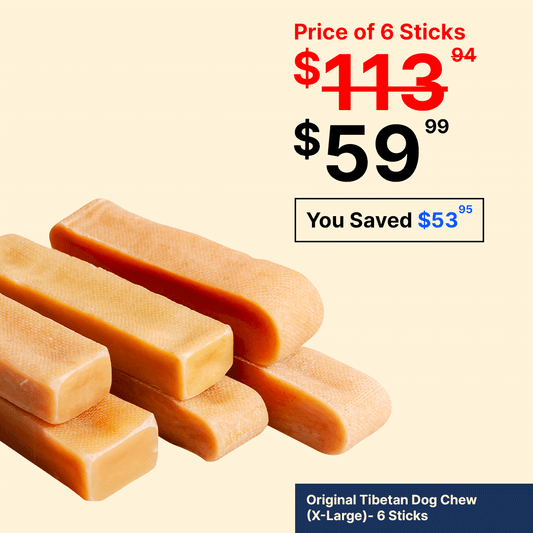 Original Tibetan Dog Chew (X-Large) - 6 Sticks