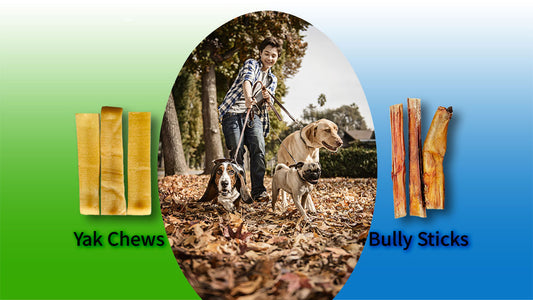 Yak Chews vs Bully Sticks — Which Is Better?