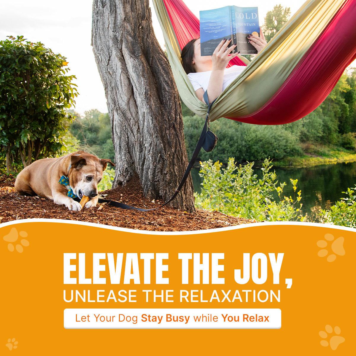 Let Your Dog Stay Busy While Your Relax