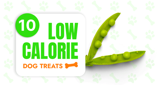 Top 10 Best Low-Calorie Dog Treats